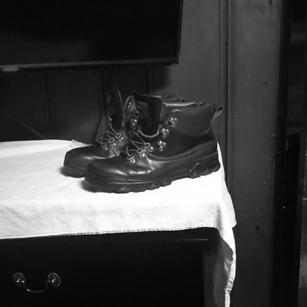 Polo boots